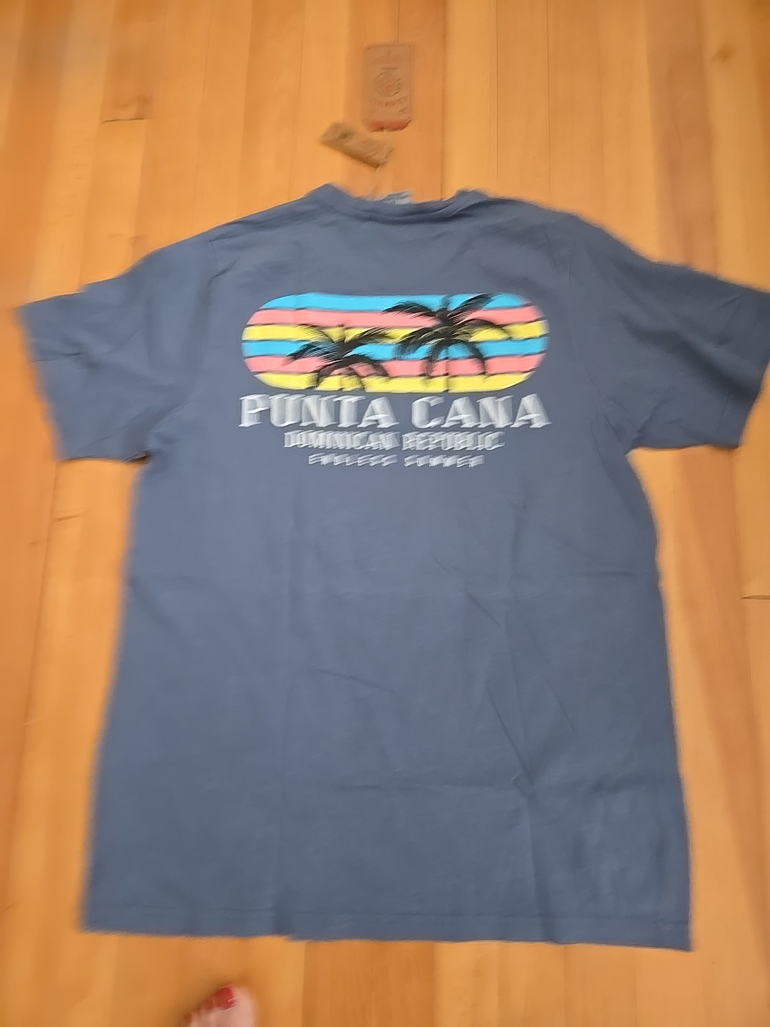 NWT Women Puna Canna Dominican Republic Blue T Shirt L Cotton Palm Trees $29