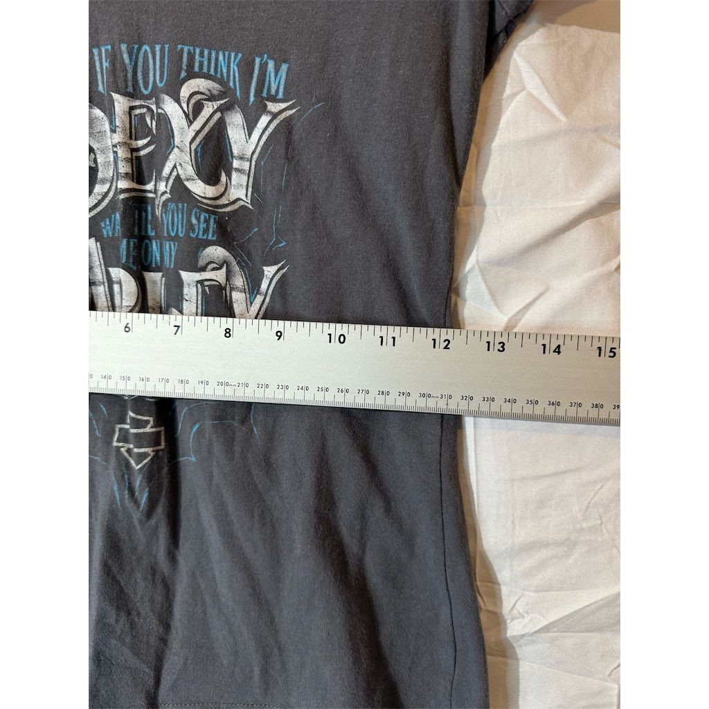 Harley-Davidson Women’s Tee S Sexy Graphic USA Made Okoboji Biker Babe Y2K Moto