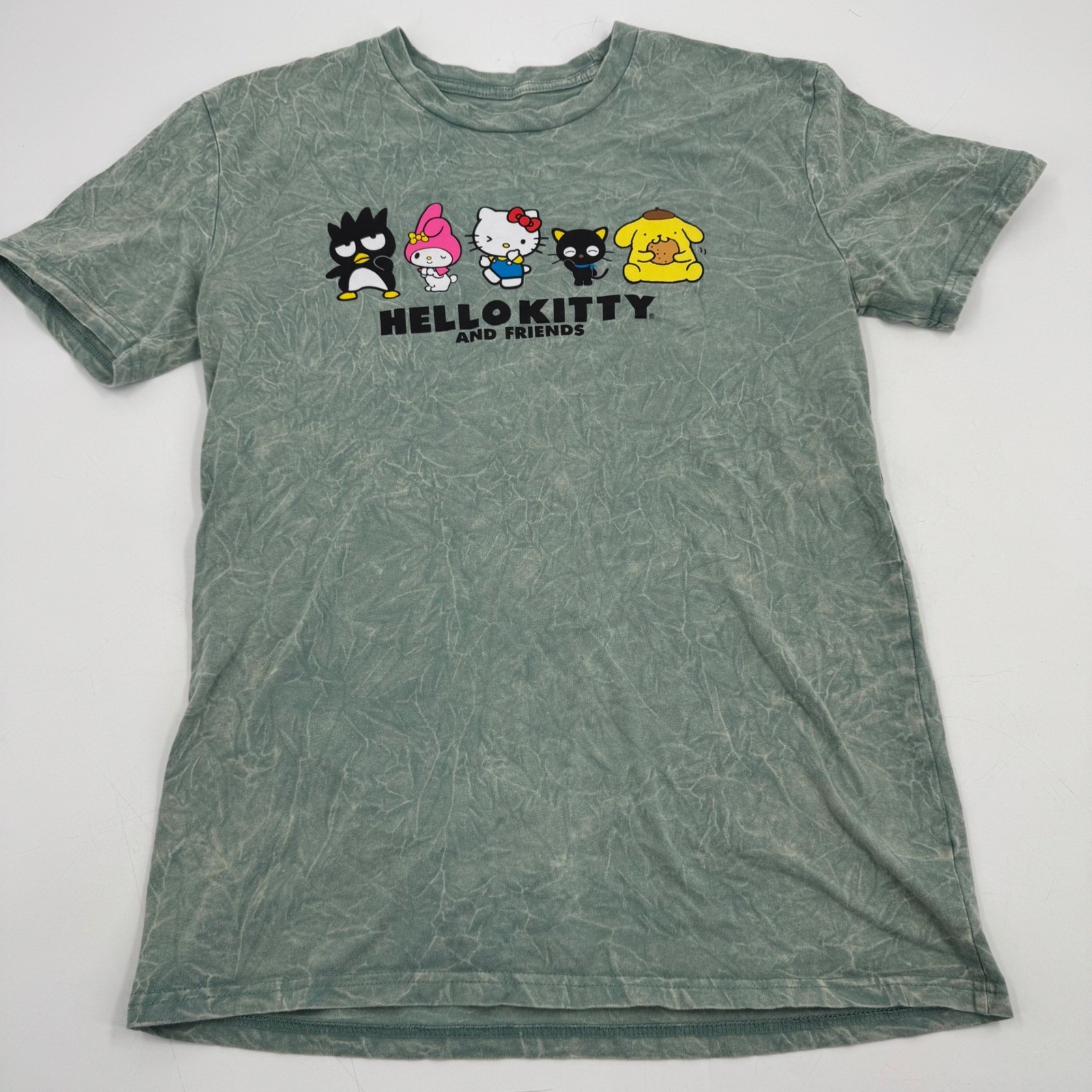 Hello Kitty and Friends Bioworld T-Shirt Small Sanrio Cartoon Graphic Tee