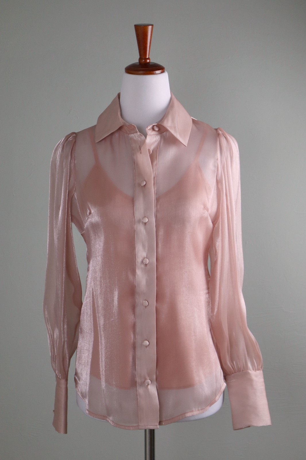 BOSTON PROPER NEW $89 Metallic Sheen Sheer Organza Cami Lined Top Size 2XS / XXS