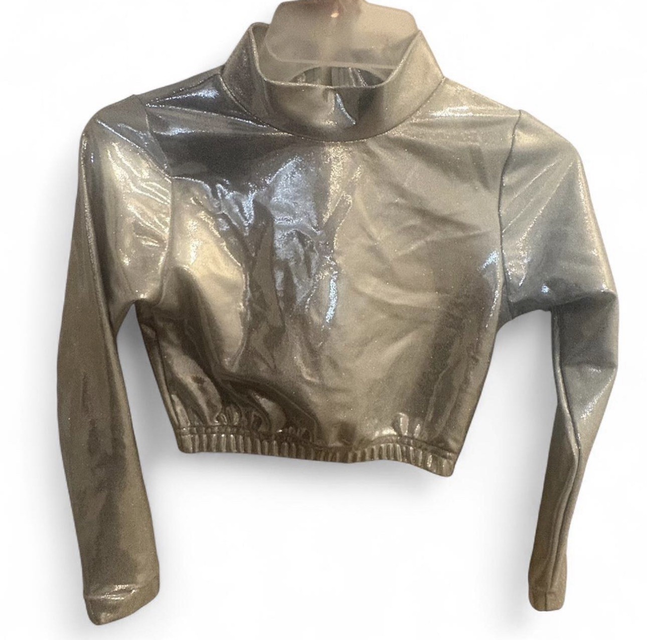 Silver Shiny Crop Zip Top