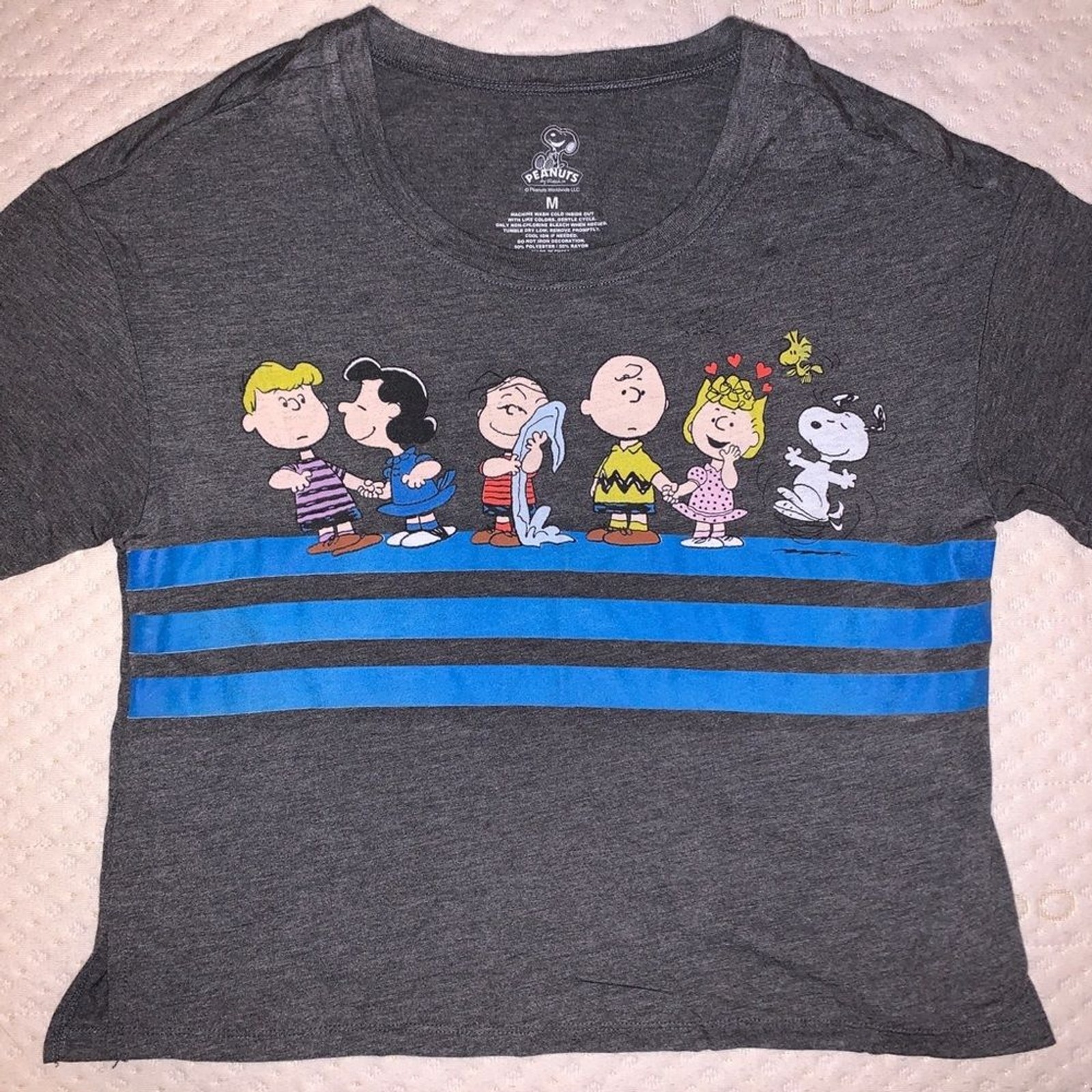 Peanuts Snoopy & Friends Gray Crop Top T-Shirt
