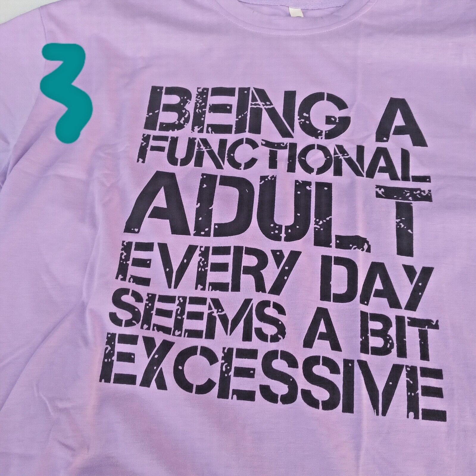 Being A Functional Adult Every Day Seems A Bit Excessive Tshirt Funny
