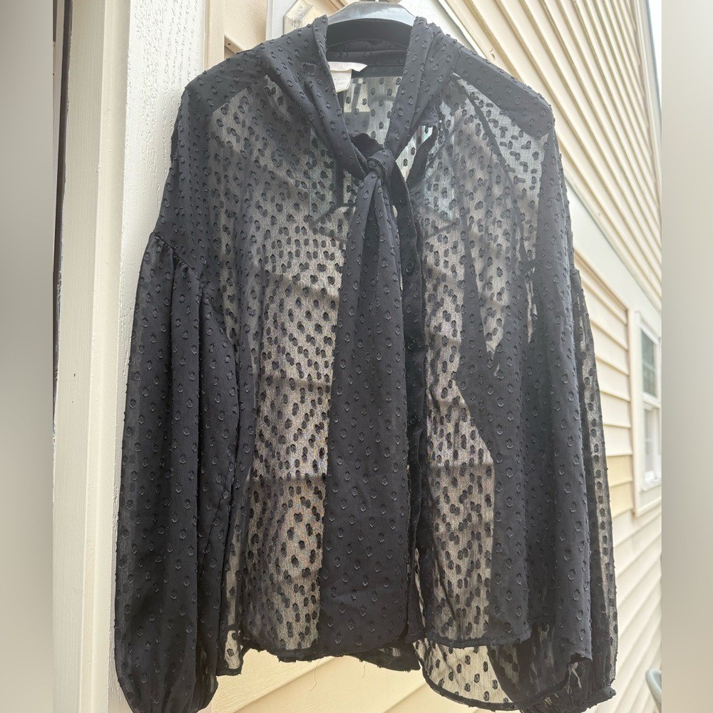 H&M Sheer Black Polka Dot Blouse with Bow Tie