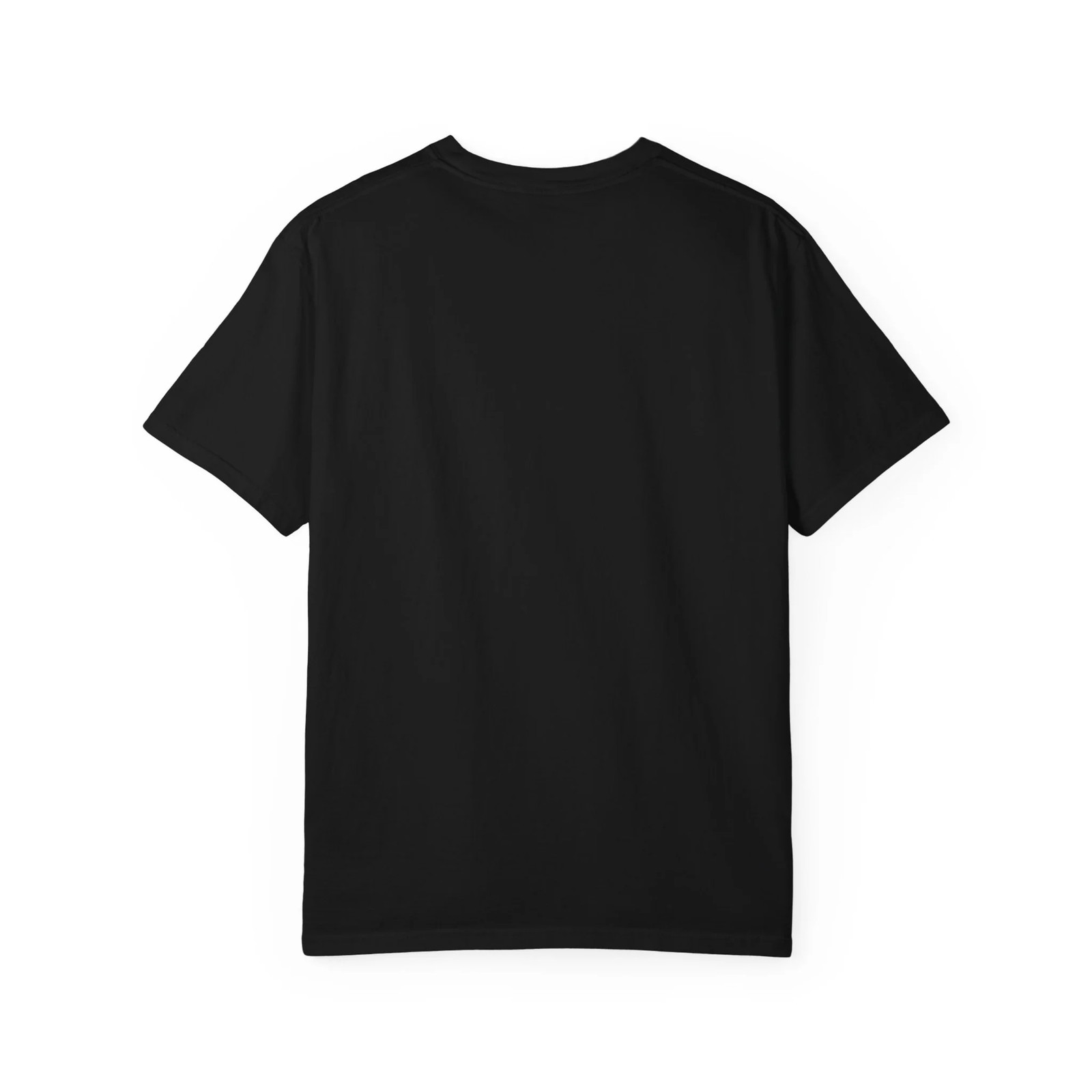 Certified Small-Town Observer Garment-Dyed T-Shirt