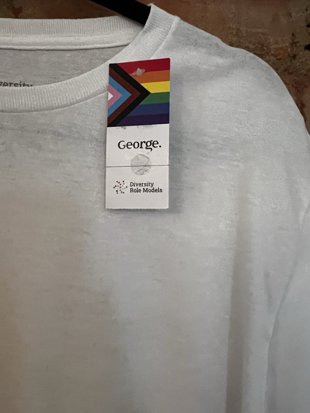 NEW Diversity T Shirt White Age 14 15 LOVE IS LOVE Role Models Tags Rainbow
