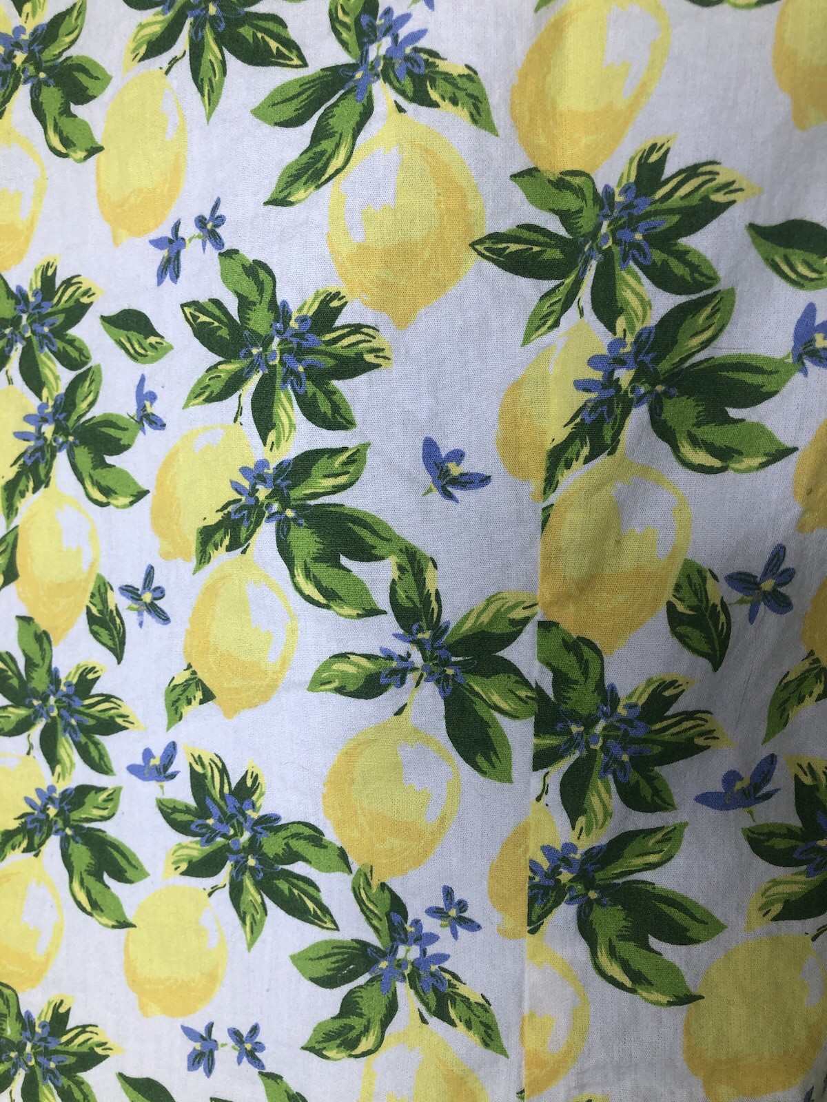 Lemon Shirt by Chadwick’s of Boston 14P White Yellow Green 3/4 Sleeve Collar