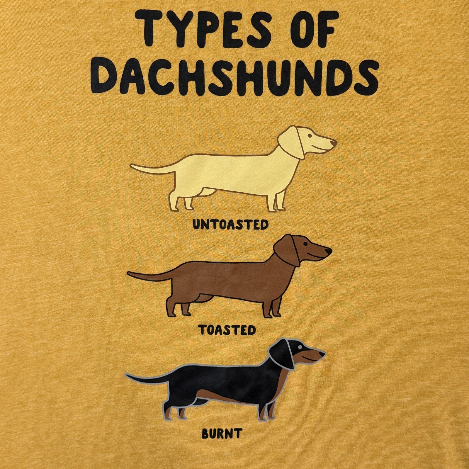 Instant Message Shirt Womens 2XL Yellow Types Of Dachshunds Graphic Tee Top