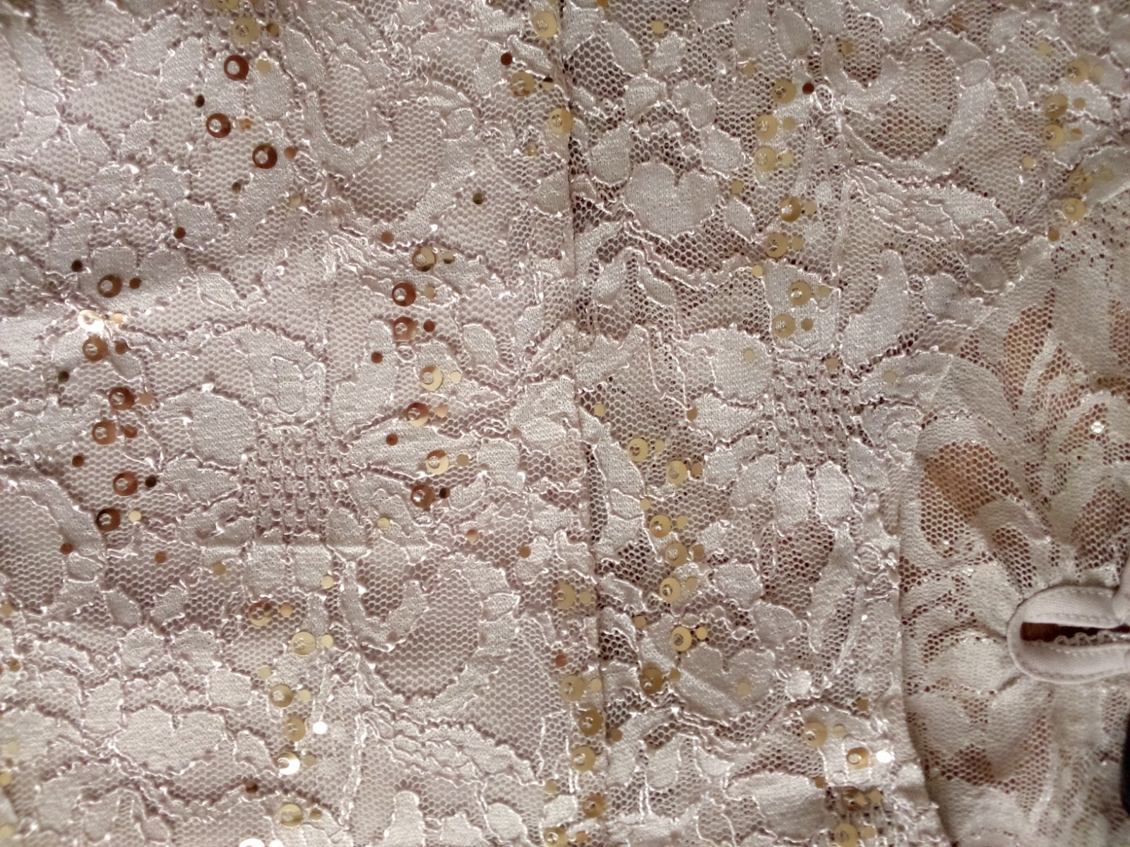 Top Beige Lace Blouse Gold Sequin Embroidered Elegant Women’s Boho Chic