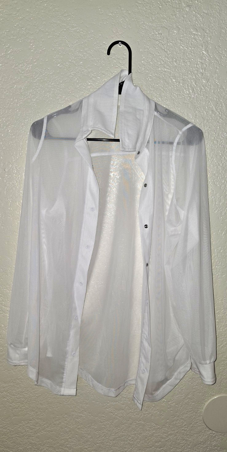 Women’s White Sheer Chiffon Button-Up Collared Blouse Long Sleeve One Size