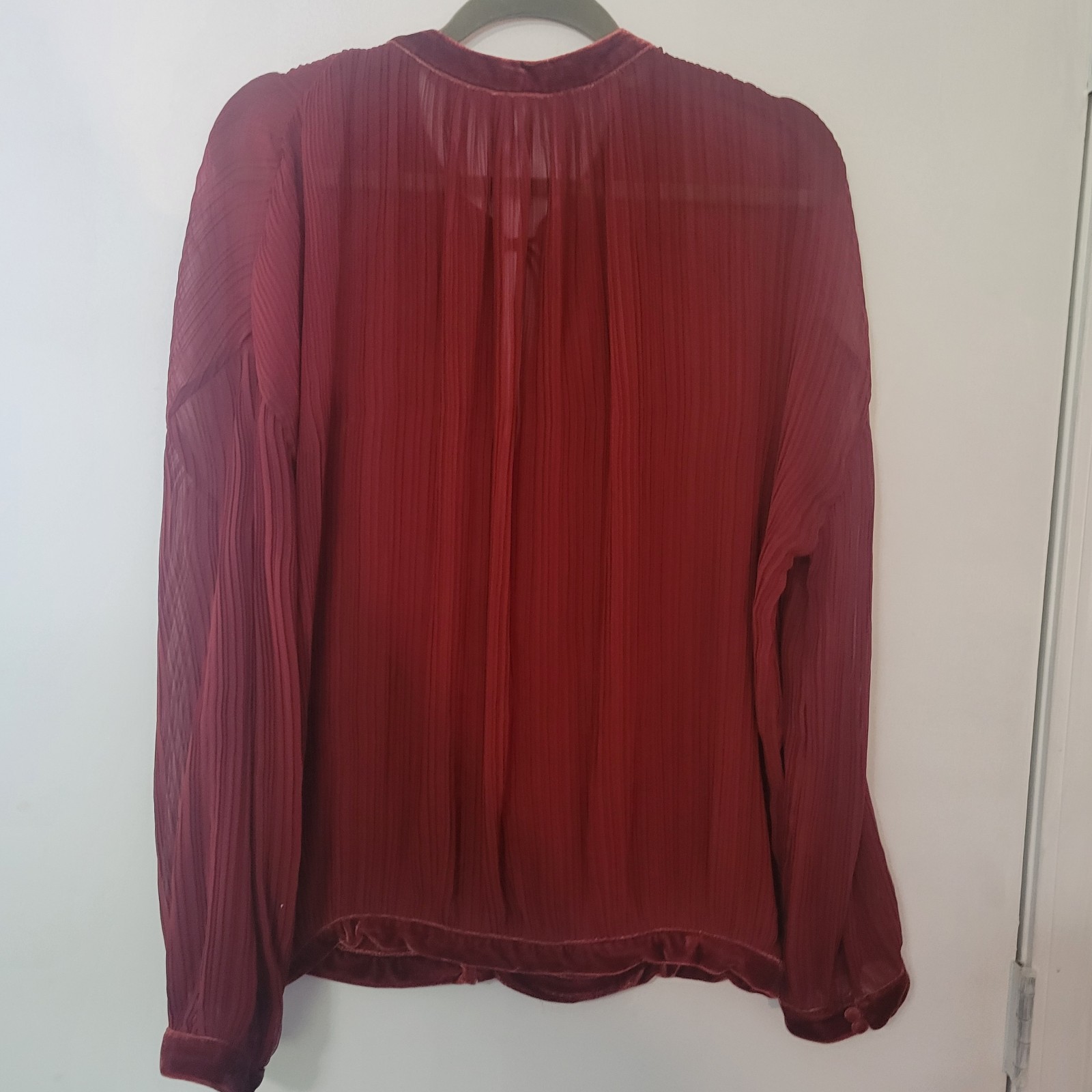 Free People Blouse L Terracotta Plisse Sheer Velvet Trim Whimsygoth Fairycore