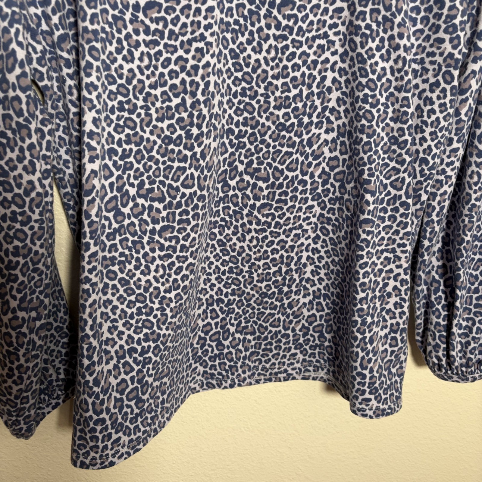 Any Body T-Shirt Women’s Small Cheetah Round Neck Long Sleeve Printed Top