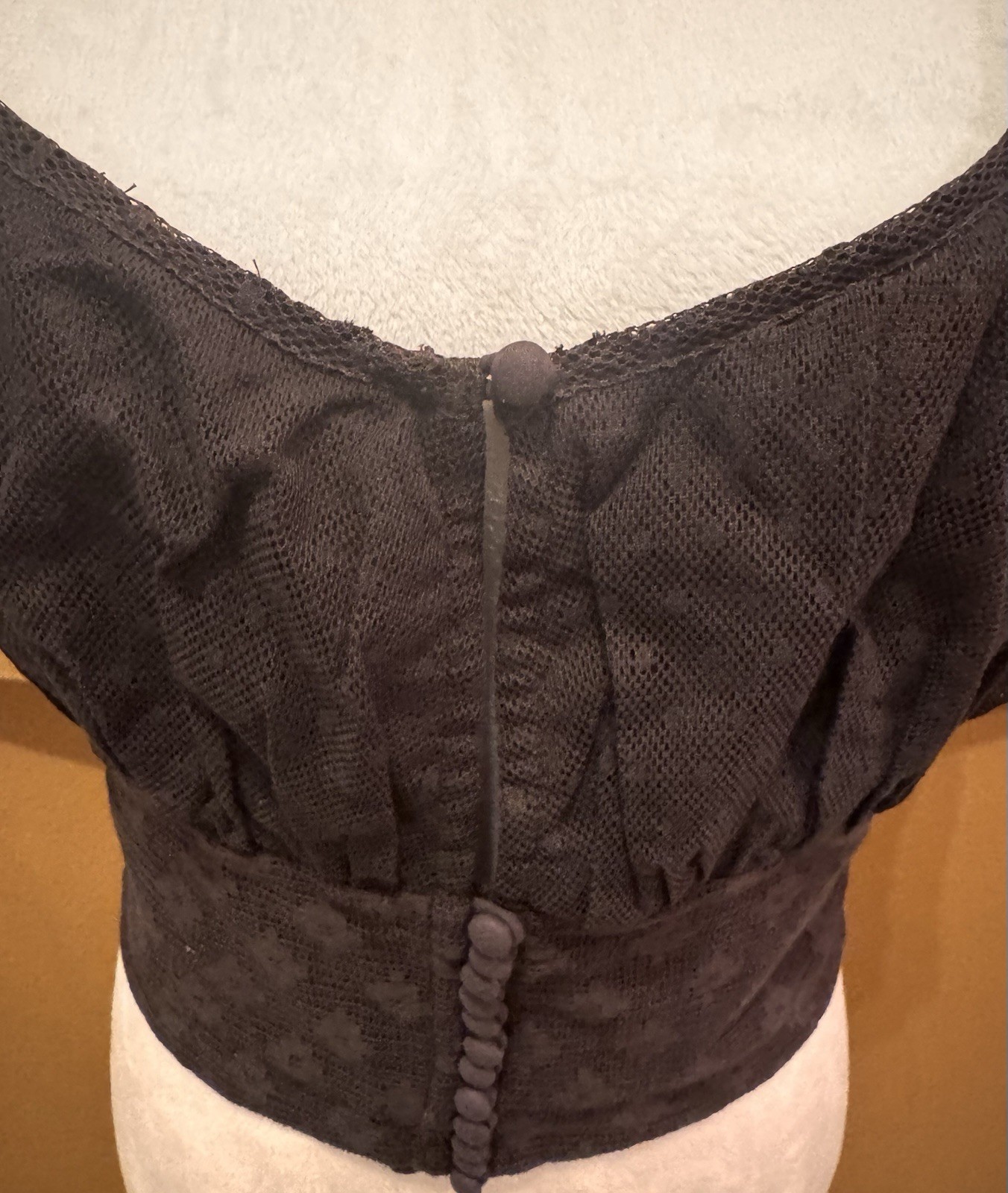 Free People NWT $78 Brown Lace Sheer Crop Heartstrings Top Size S