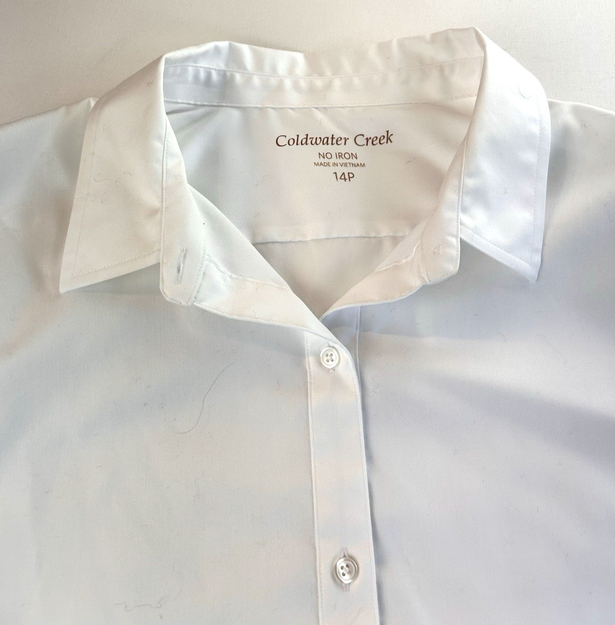 Coldwater Creek Non-Iron Classic Coastal Grandma Effortless Size 14P