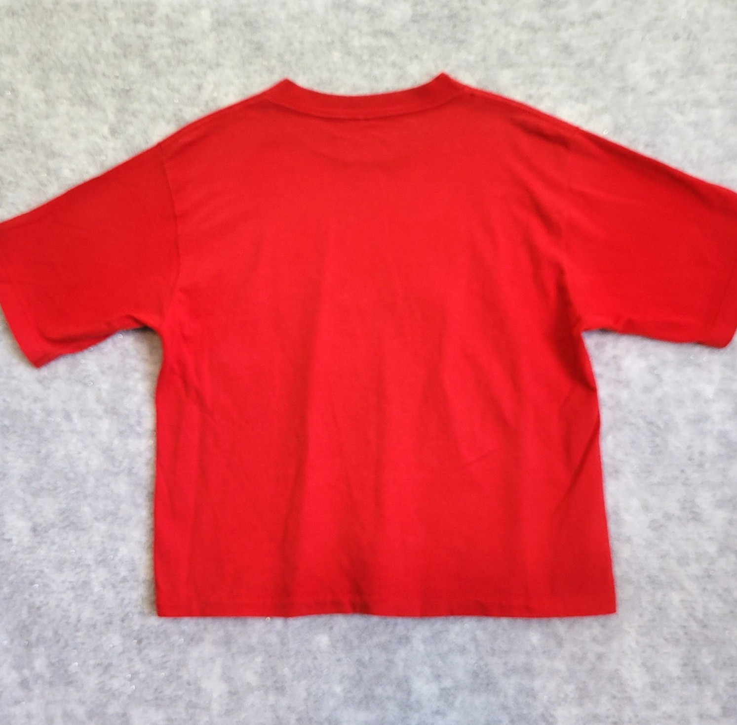Holiday T-shirt Women Small Cardinal Red Applique Pine Branch Snow Gold Sparkle