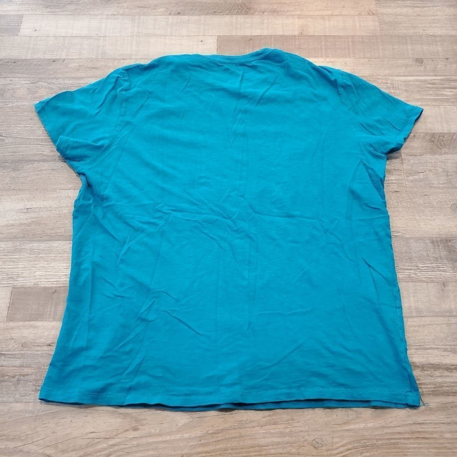 American eagle outfitters large juniors blue tee