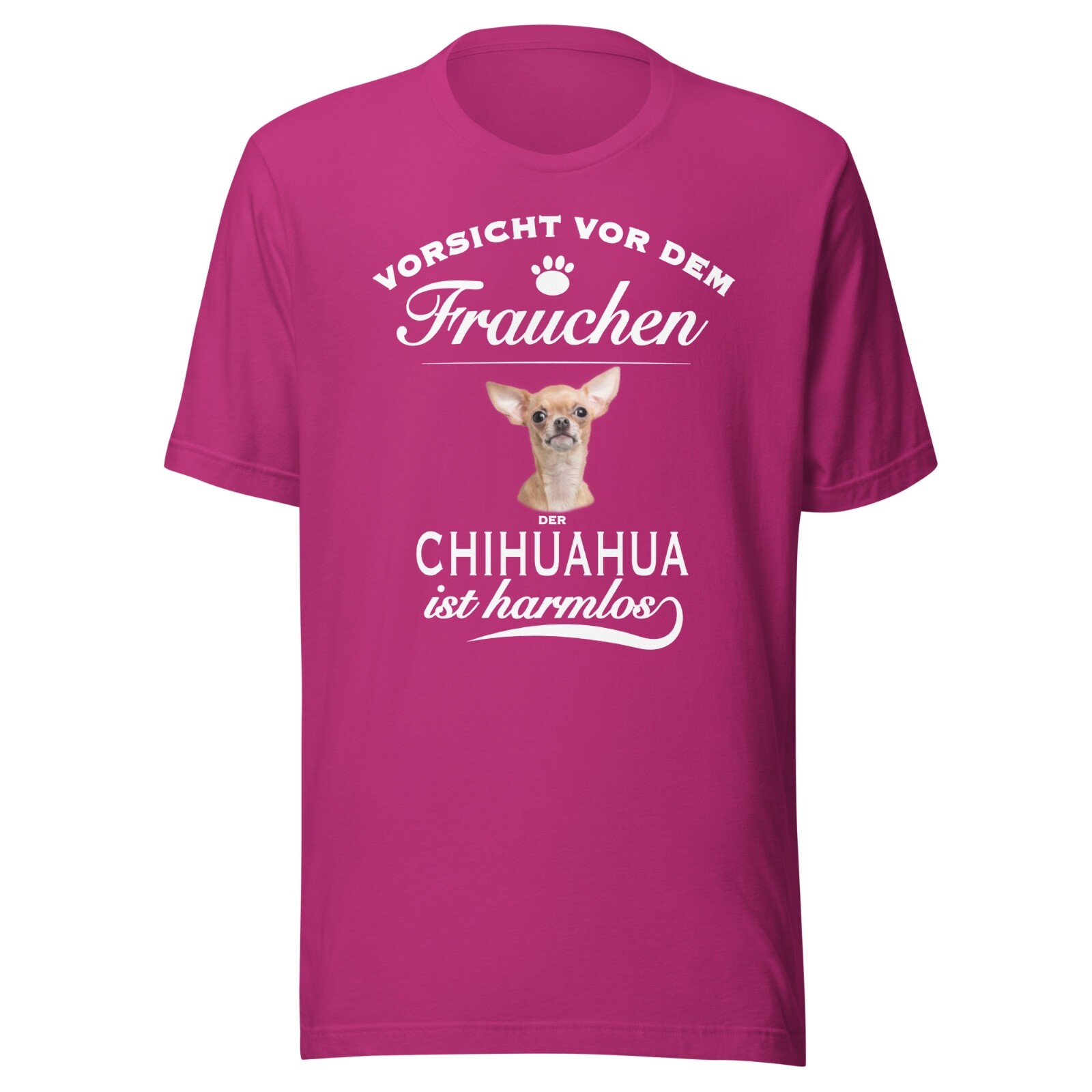 Beware of the mistress of the Chihuahua is harmless – Chihuahua Dog