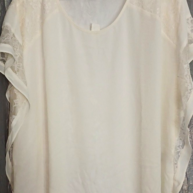 JM Collection Women’s White Sheer Lace Accent Round Neck Short Sleeve Blouse 2X