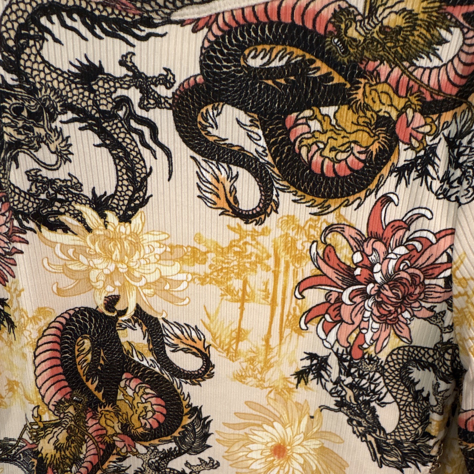 Just Polly New York XL Cropped Ribbed Knit Crew Neck Long Sleeve Dragon Floral