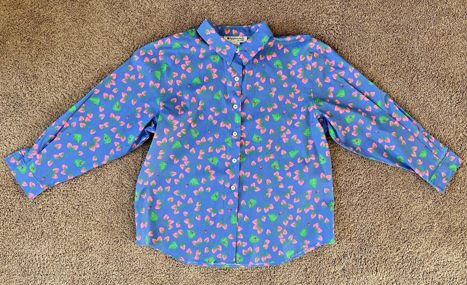 Vintage Appleseeds Strawberries/Lady Bugs Button Down Long Sleeve Blouse Sz XL