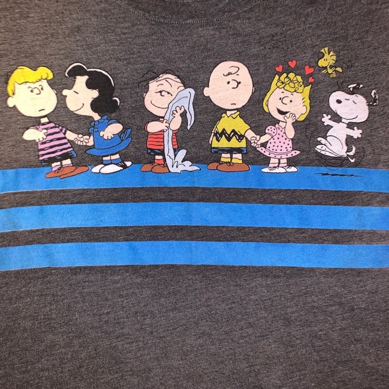 Peanuts Snoopy & Friends Gray Crop Top T-Shirt