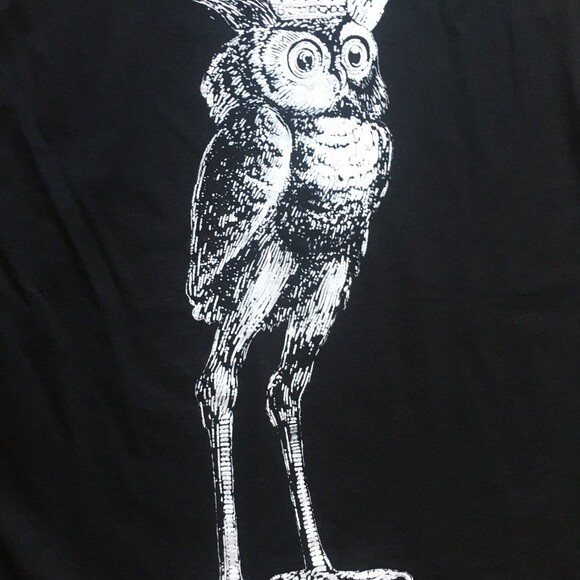 The Prince Stolas T Shirt V Neck Small to Extra Large Sizes Occult Demons Bael