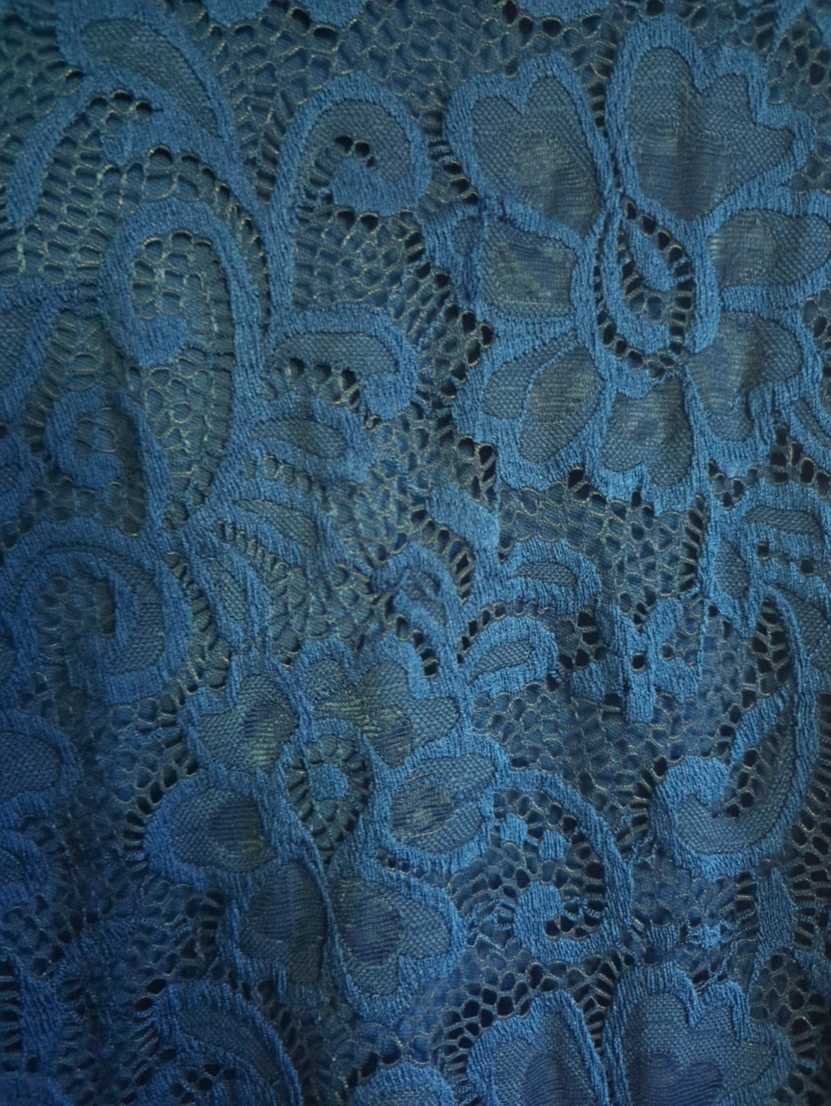 Lace Onyx Women’s XL Blue Lace Blouse Dressy Top Floral Lace
