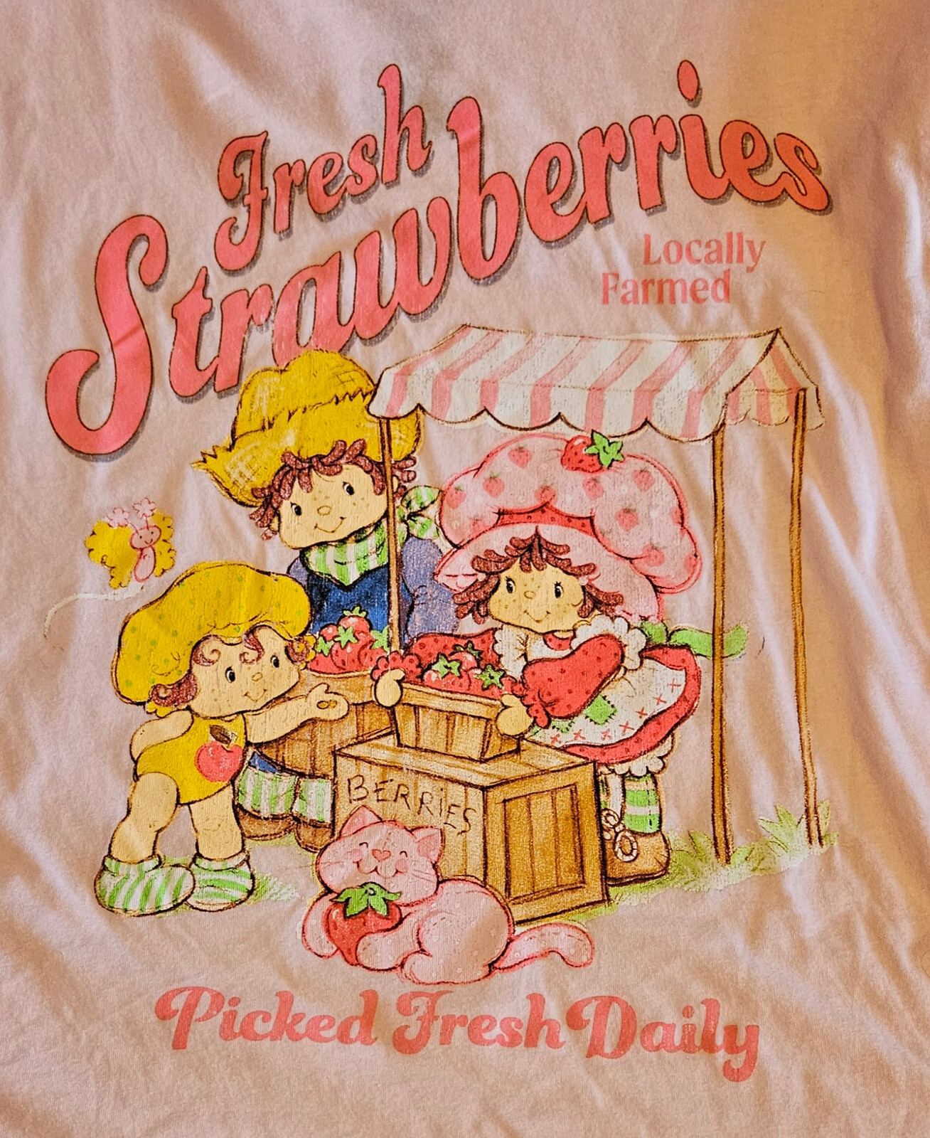 Hybrid Apparel Strawberry Shortcake- Fresh Strawberries Tee Women’s Large 12- 14