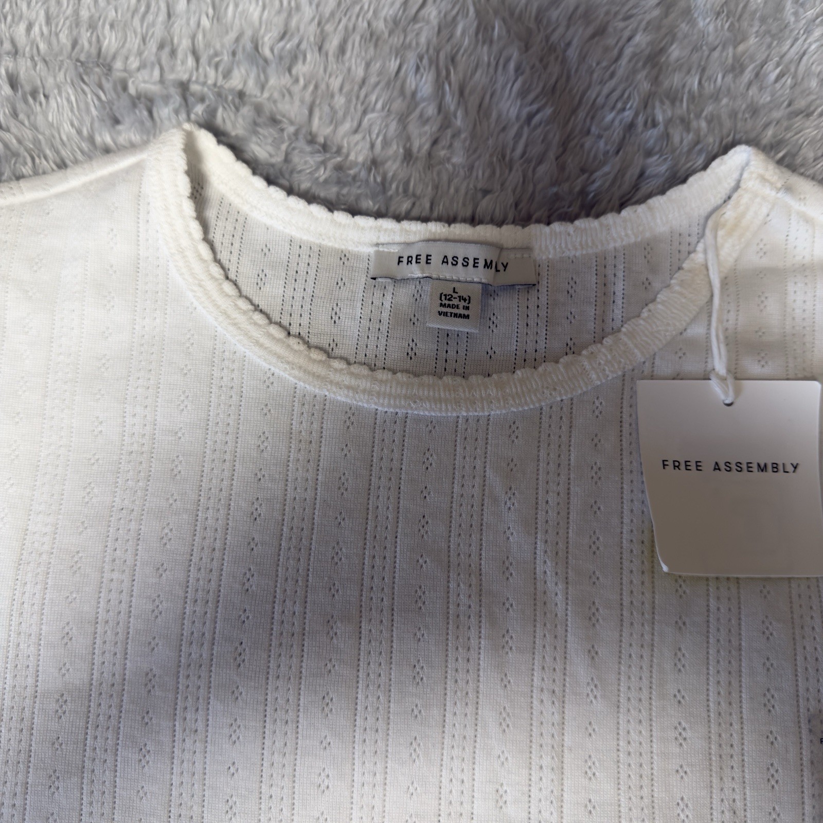 Free Assembly Women’s Pointelle Mini Tee Size Large Cream Short Sleeve