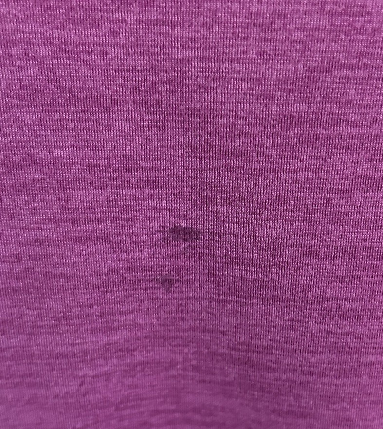 Reebok Women’s Fuchsia Round Neck T-Shirt Blouse Size Large Slim New With Tags