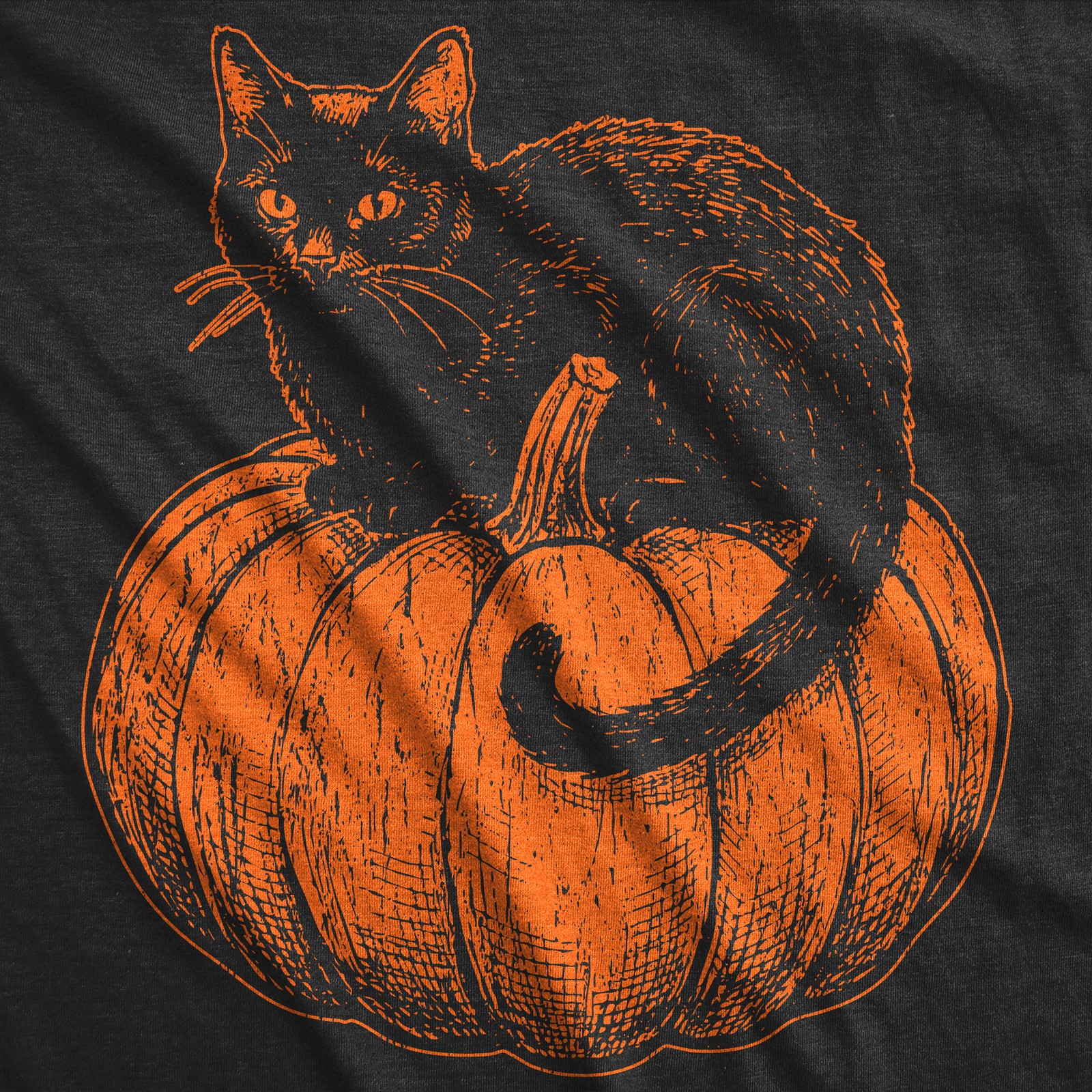 Womens Funny T Shirts Black Cat On A Pumpkin Sarcastic Halloween Tee For Ladies