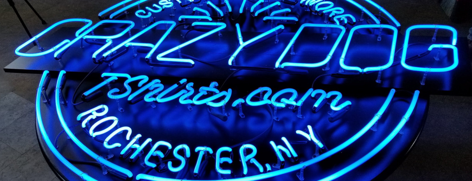 Womens Funny T Shirts Black Cat On A Pumpkin Sarcastic Halloween Tee For Ladies