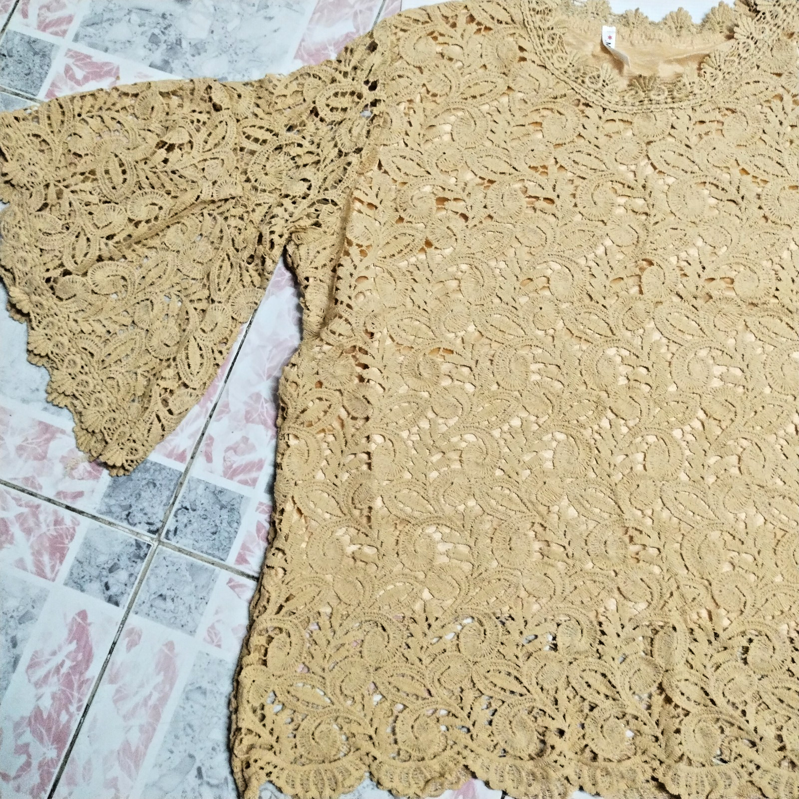 Fine Beige Lace Blouse/ Plus Size/ for All Occasions: Formal & Informal Events