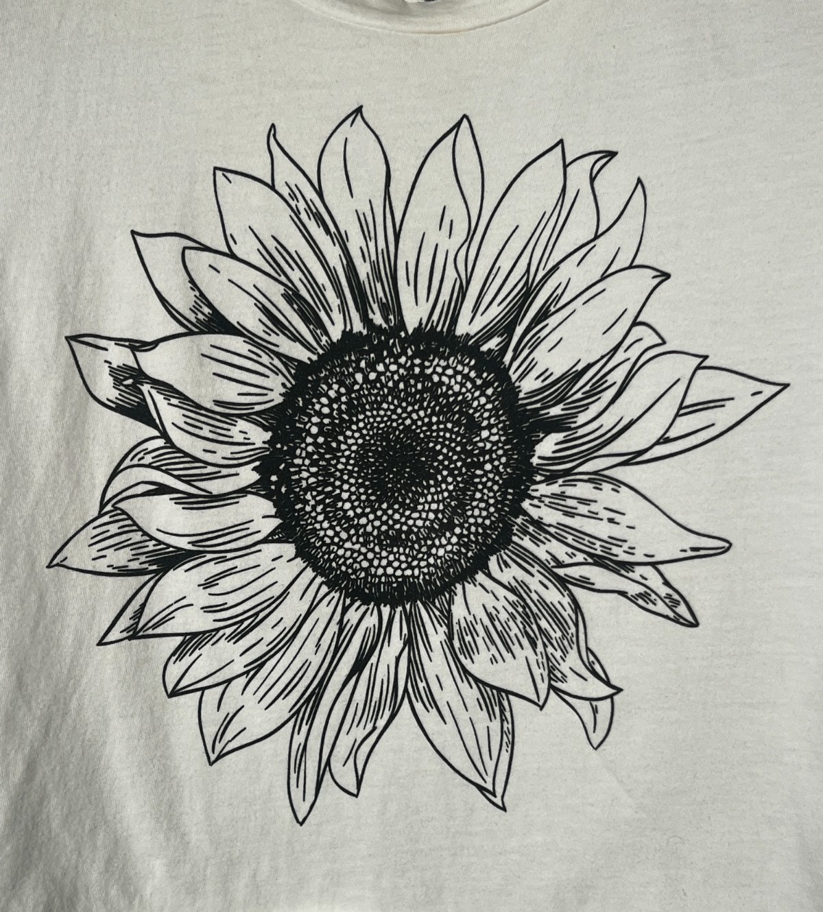 Sunflower Cropped Knit Top Womens S White Black Crew Neck Short Slv Originality