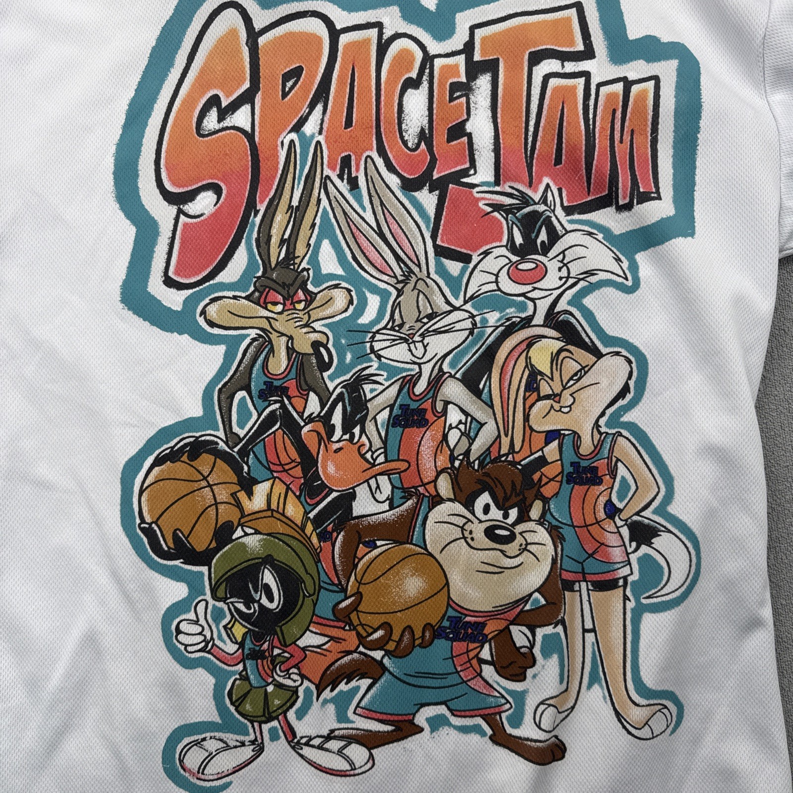 Taz Looney Tunes Baseball Jersey Space Jam Size SCosplay Fantasy