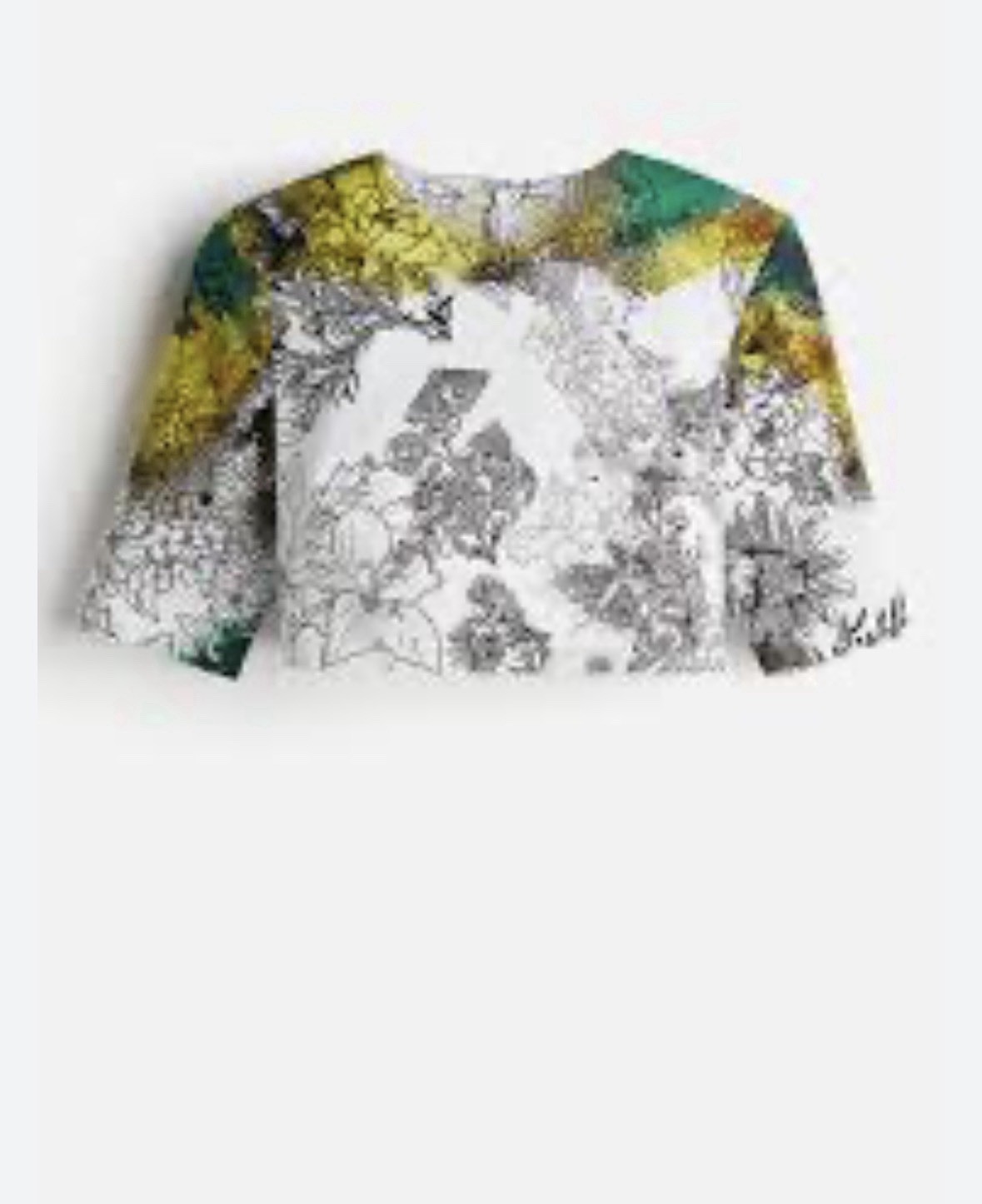 Anamika Khanna X H&M Cropped Floral Motif Cotton Top Yellow Green Size m