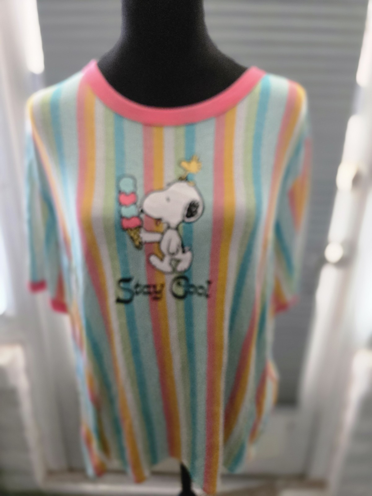 Peanut Snoopy Woodstock Ice Cream Pastel Striped Top Sz Xl