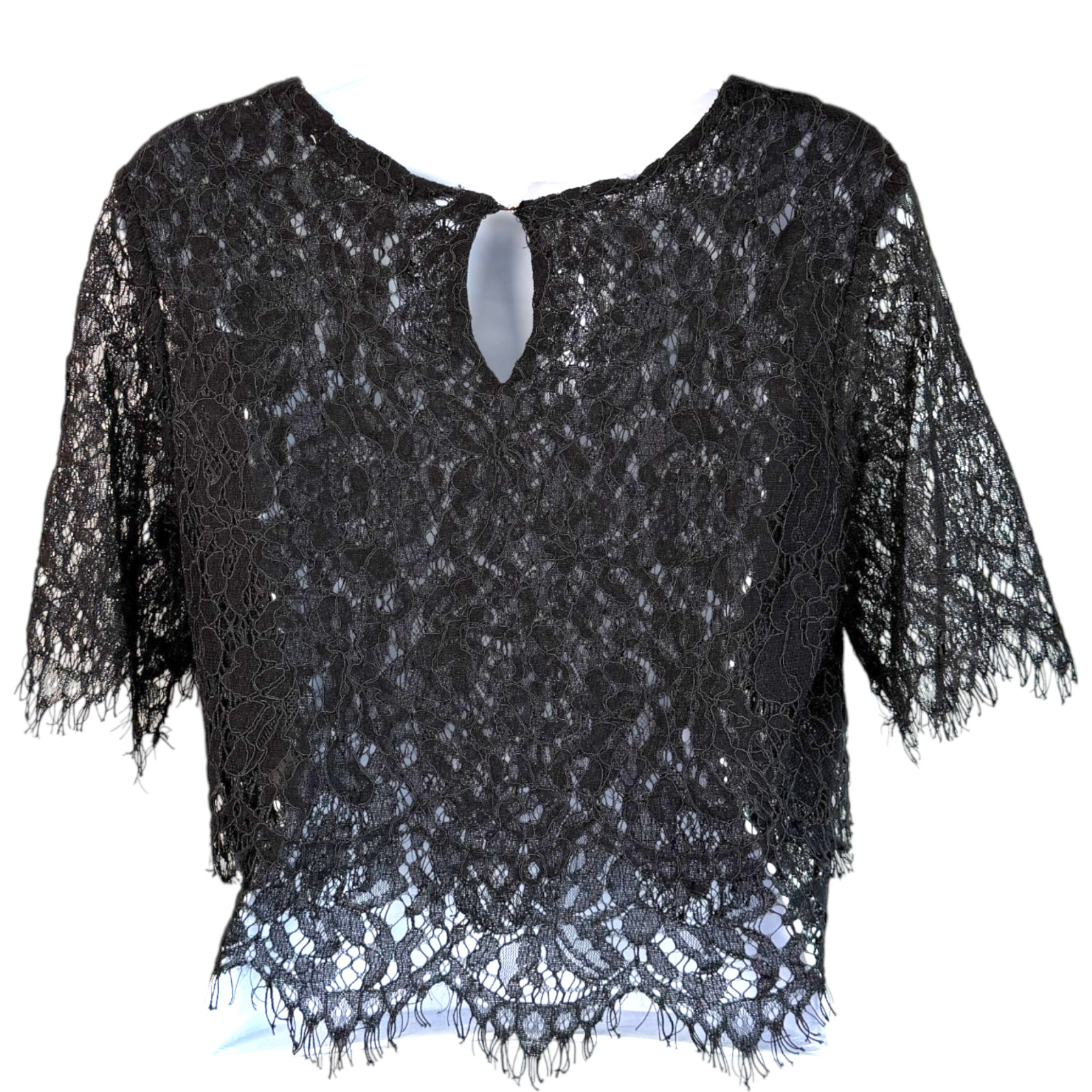 Black Sheer Lace Crop Top Sz S Boho Festival Goth Romantic Whimsigoth Dark Fairy