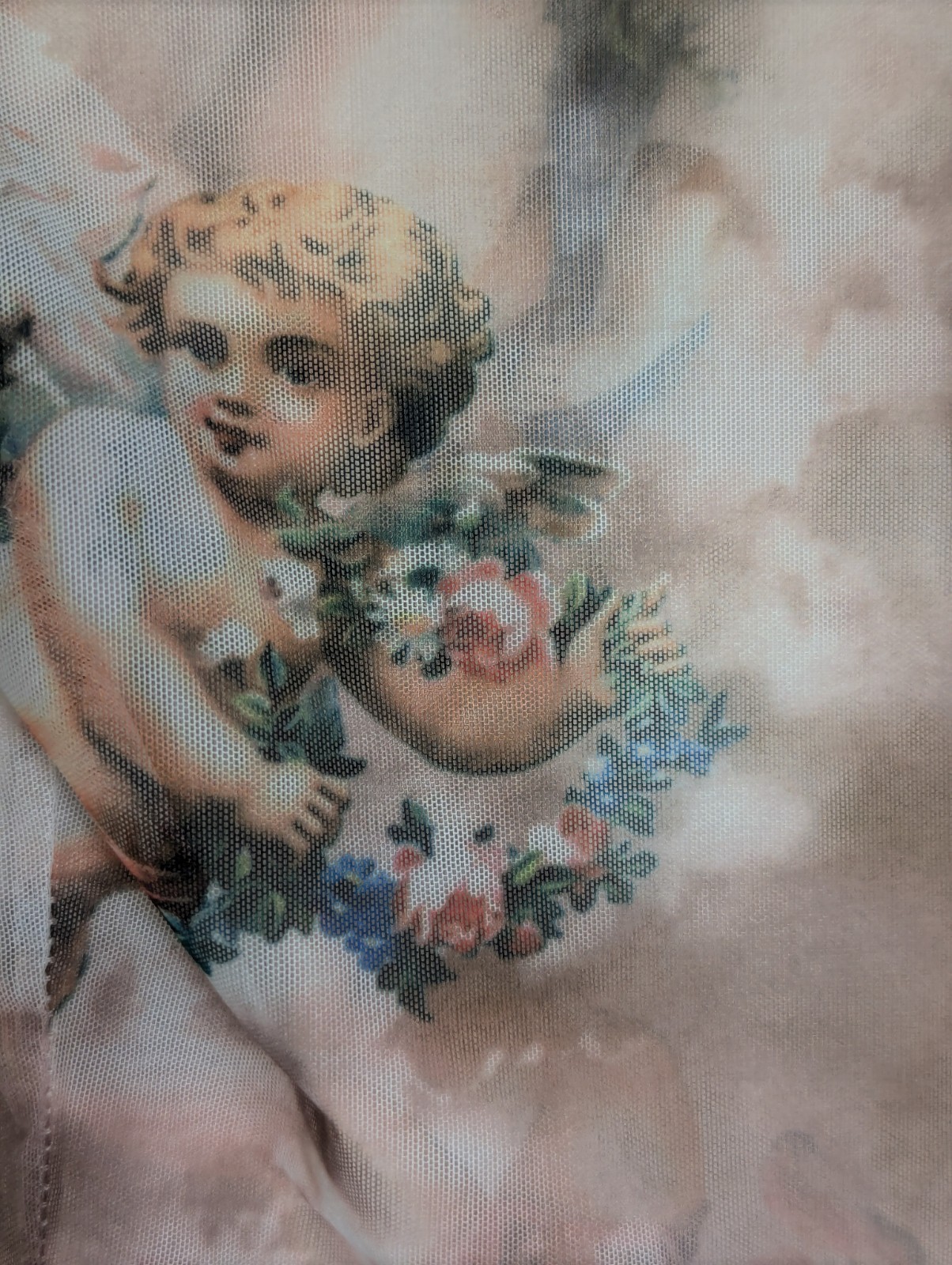 Womens Angelcore Sheer Crop Top Size S (?) Mesh Cherub Renaissance Coquette