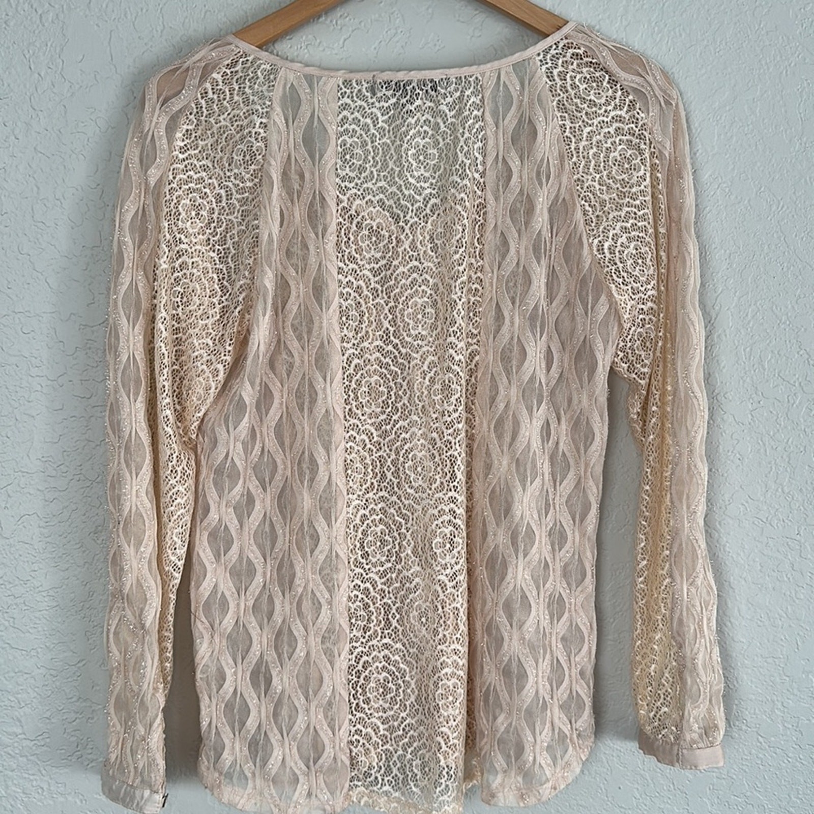 Cream Sheer Lace Feminine Blouse Top Coquette Flirty Cottage Girly Long Sleeve