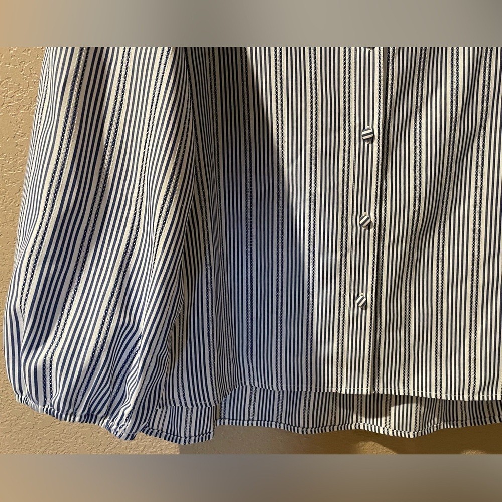 Alex Marie Blue and White Striped Shirt