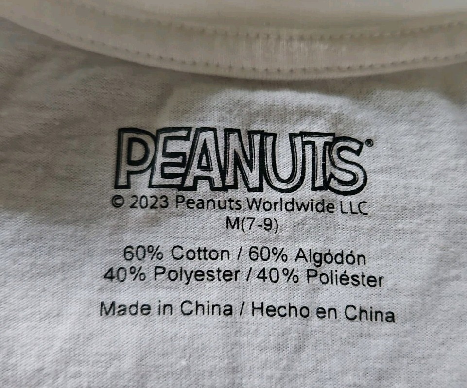 2 Peanuts Worldwide T-Shirts 2023 Snoopy & Woodstock 2025 Airplane Mode size M