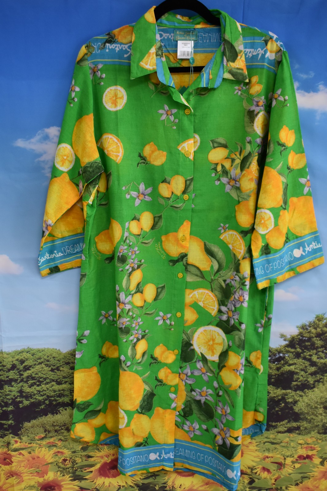 ANTICA SARTORIA 2026 XLARGE AQUA & GREEN LEMONS BUTTON DOWN DRESS/MUMU NWT