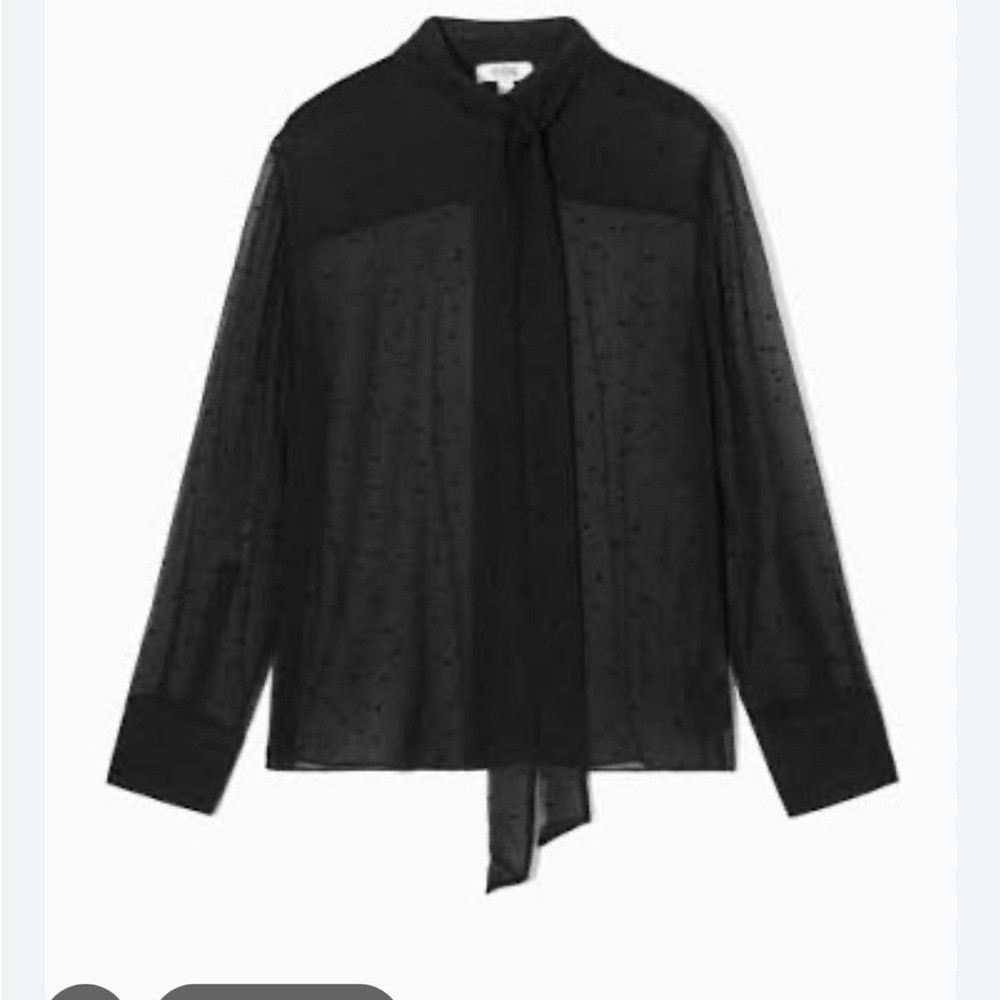 H&M Sheer Black Polka Dot Blouse with Bow Tie