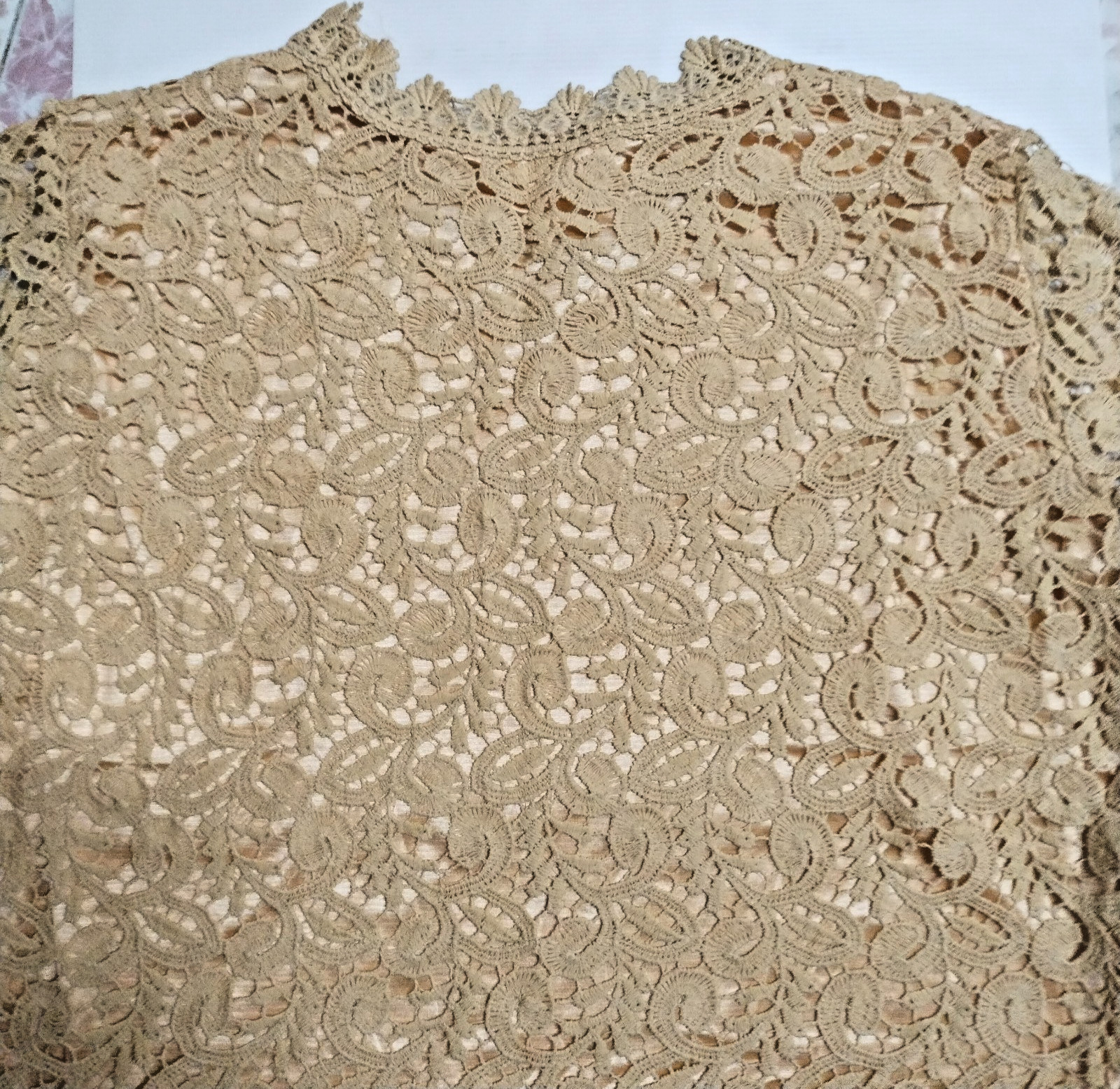Fine Beige Lace Blouse/ Plus Size/ for All Occasions: Formal & Informal Events