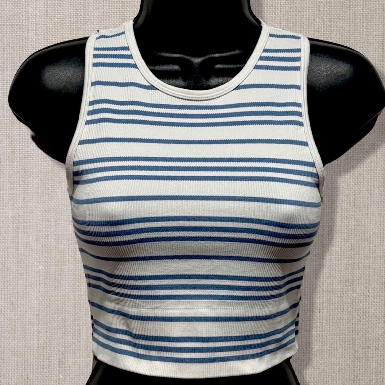 Aura Ribbed Striped Crop Tank Top Womens S/M Blue White Y2K Baby Tee