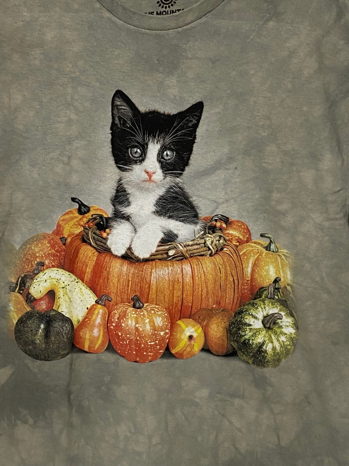 The Mountain KITTEN In PUMPKIN BASKET Fall Kitten T-SHIRT Women’s XL, 2XL NWT