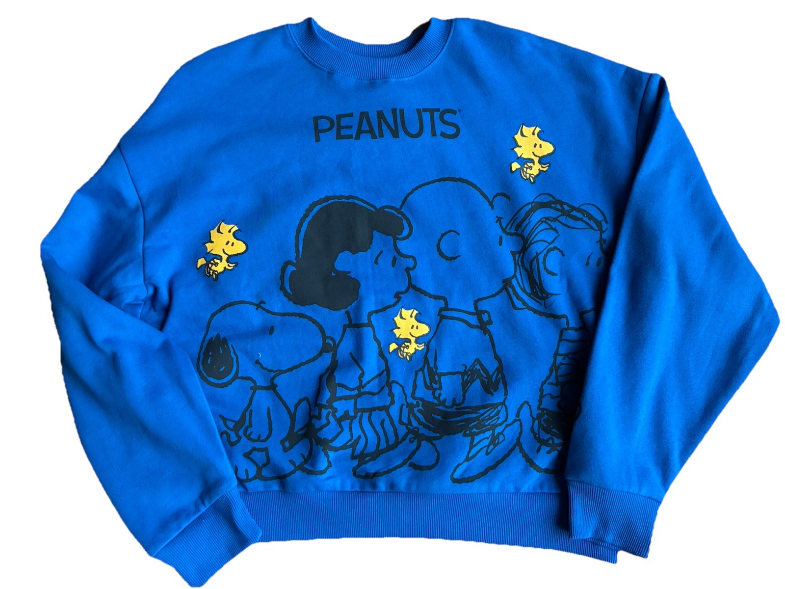 Peanuts Snoopy Charlie Brown Gang Blue Multi M L XL Oversize Sweatshirt NWT