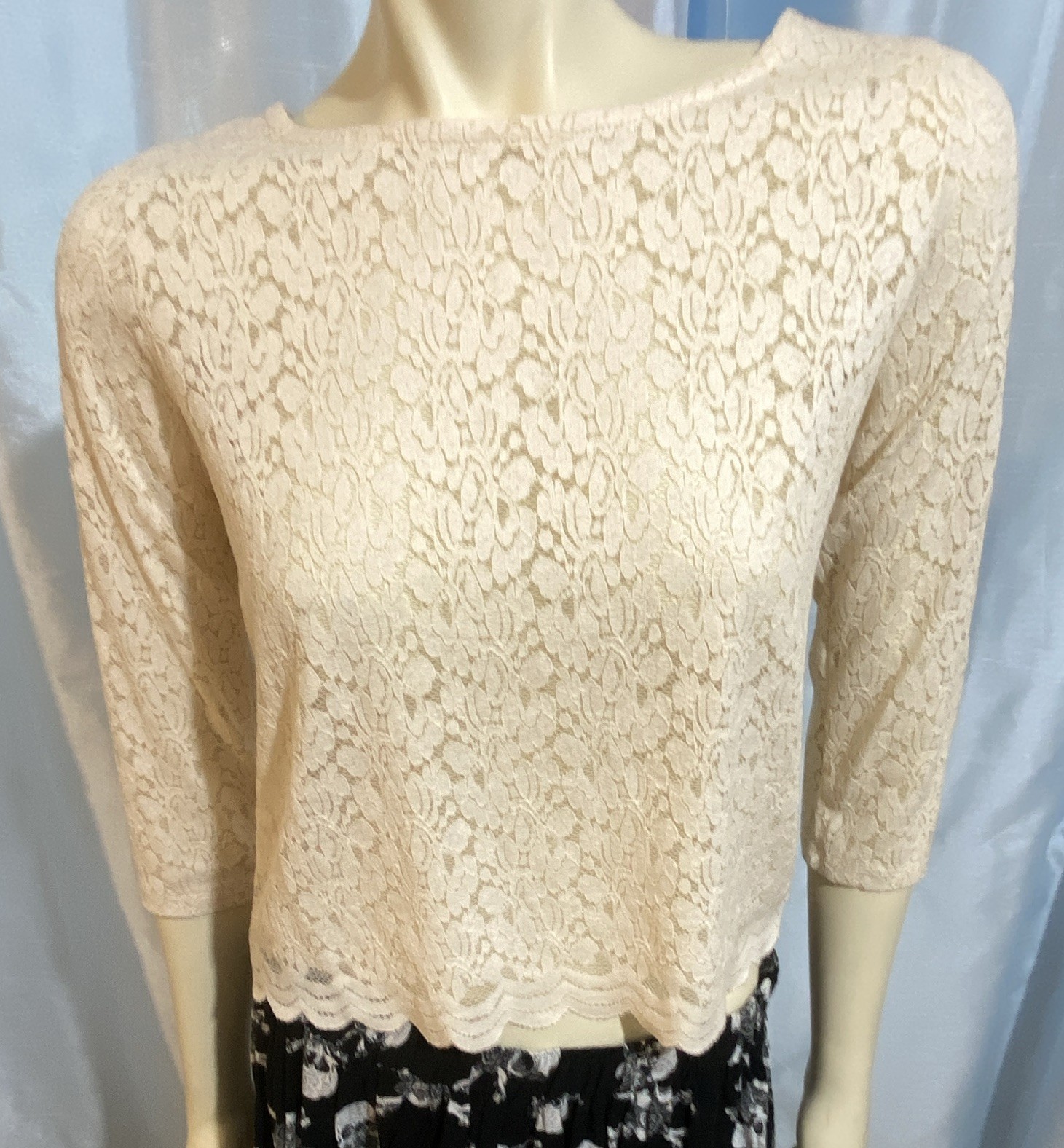 NEW Dainty Button Back Cropped Scalloped Cream Ivory Lace Boat Neck 3/4 Sleeve M