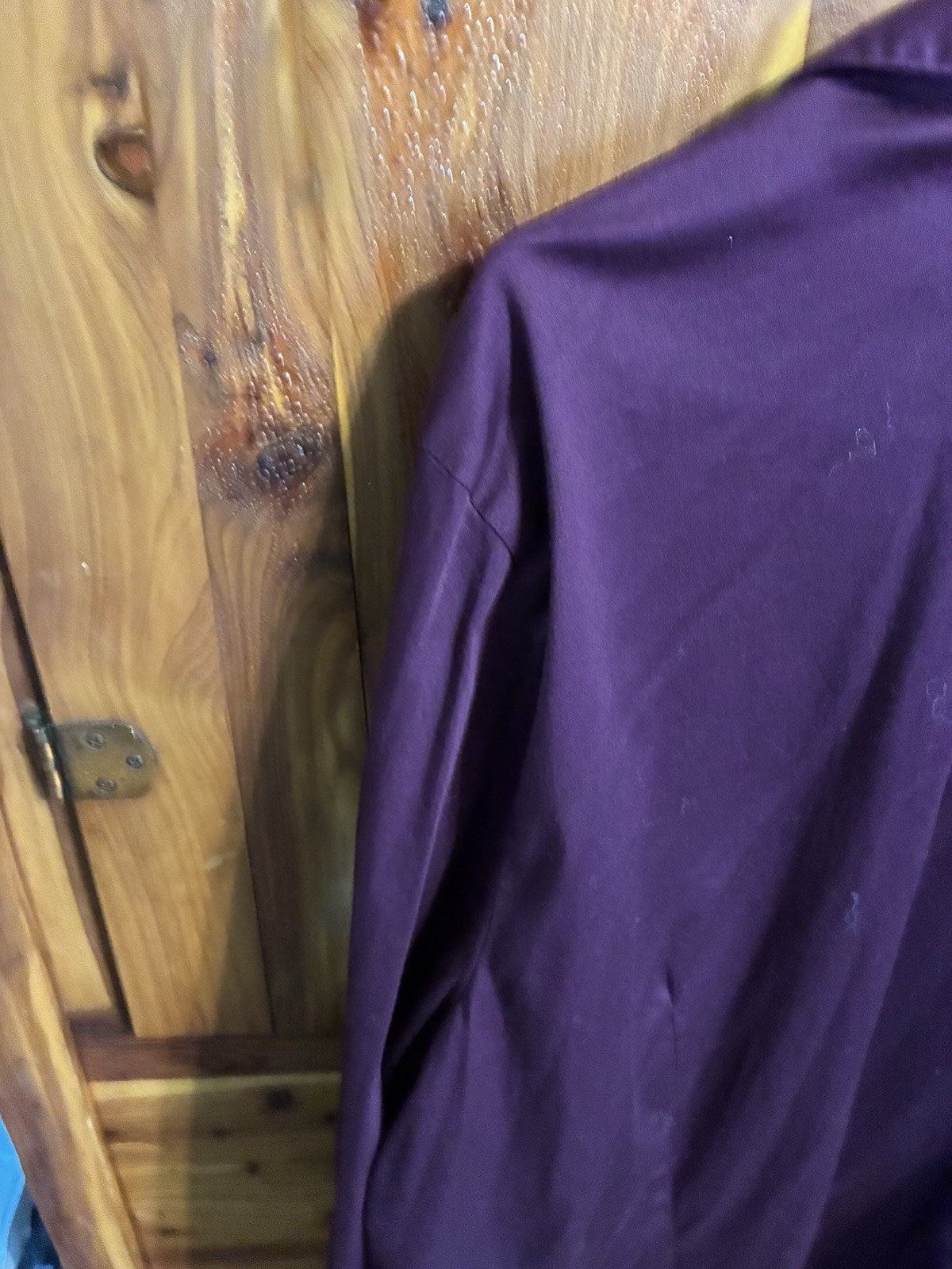 Fred David Woman’s 3X Deep Purple Button Down Blouse